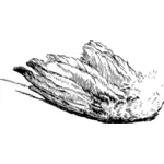 איור וקטורי של ציפור כנף בשחור-לבן