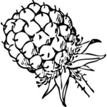 BlackBerry fruta clip-art