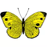 Image vectorielle de papillon noir et jaune