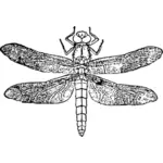 Vectorul miniaturi de dragonfly