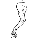 Vektoripiirros lihaksikkaan miehen käsivarresta
