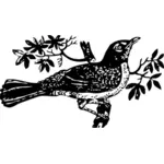 Gambar dari mockingbird di cabang pohon vektor