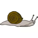 矢量图的蜗牛