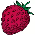 빨간 딸기 열매의 드로잉 벡터