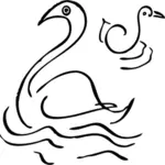 Rozměry Swan