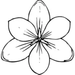 Vektorbild av crocus blomma ovanifrån