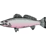 Dibujo vectorial de pescado de río genérico