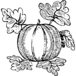 Meloen vector tekening