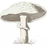 Vektorový obrázek houby