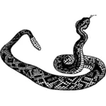 Rattlesnake vektori ClipArt