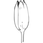 Ilustracja wektorowa bud tulipan