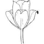 Vektorové grafiky tulipány