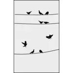 Pigeons sur Clipart fils