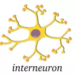 Vektorový obrázek neuron