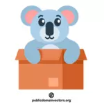 Bir kutuda koala