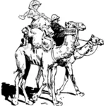 Persone sui cammelli
