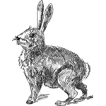 Ilustração do vetor de coelho
