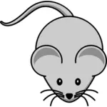 Vektorové kreslení myší karikatury s dlouhý knír