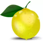 Fotorealistické citron s listy vektorové ilustrace