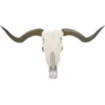 Longhorn lebka vektorový obrázek