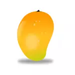 Плоды манго векторное изображение