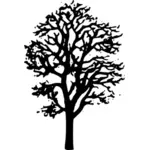Maple tree vektortegning