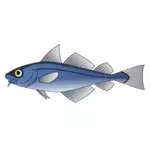 Codfish vector imagine