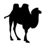 Clipart vectoriel contour chameau