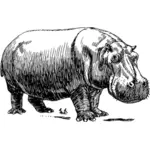 Hippopotame vector clipart