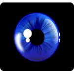 Głęboki niebieski oko