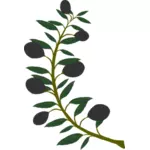 Rameau d’Olivier aux olives noires