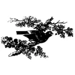 木の枝に鳩のベクトル画像