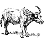 Buffalo Zeichnungsbild