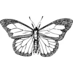 나비 그림