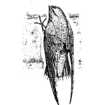 Swift chaminé em imagem vetorial preto e branco