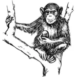 Gri tonlamalı şempanze