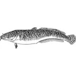 Lotte poisson dessin vectoriel