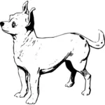 Chihuahua-Vektor-Bild