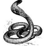 Кобра snake векторные картинки
