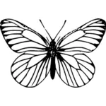 Linie-Kunst-Schmetterling-Vektor-Bild
