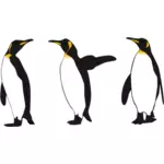 Три королевские пингвины