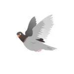 फ्लाइंग कबूतर वेक्टर छवि