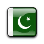 Vector bandeira de Paquistão dentro da forma quadrada