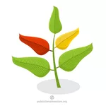 다채로운 잎 식물