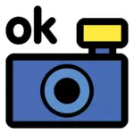 Фото фотоаппарат OK значок вектора картинки