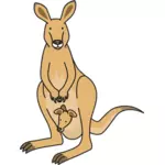 Kanguru üst