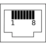 वेक्टर छवि का पिन नंबर के साथ RJ45 पिन connectorRJ45