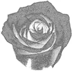 Векторное изображение розы дуплекса серый
