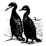 Cormoranes Vector de la imagen