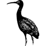 Brauner Sichler Vogel-Vektor-Bild